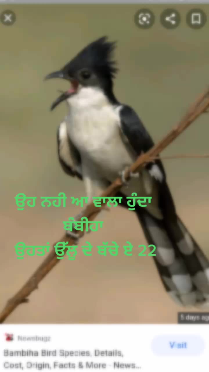 @Karan Ferozpuria