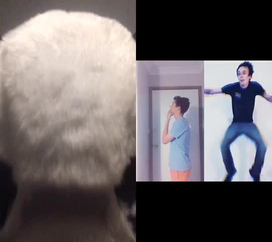 @Vncnt2