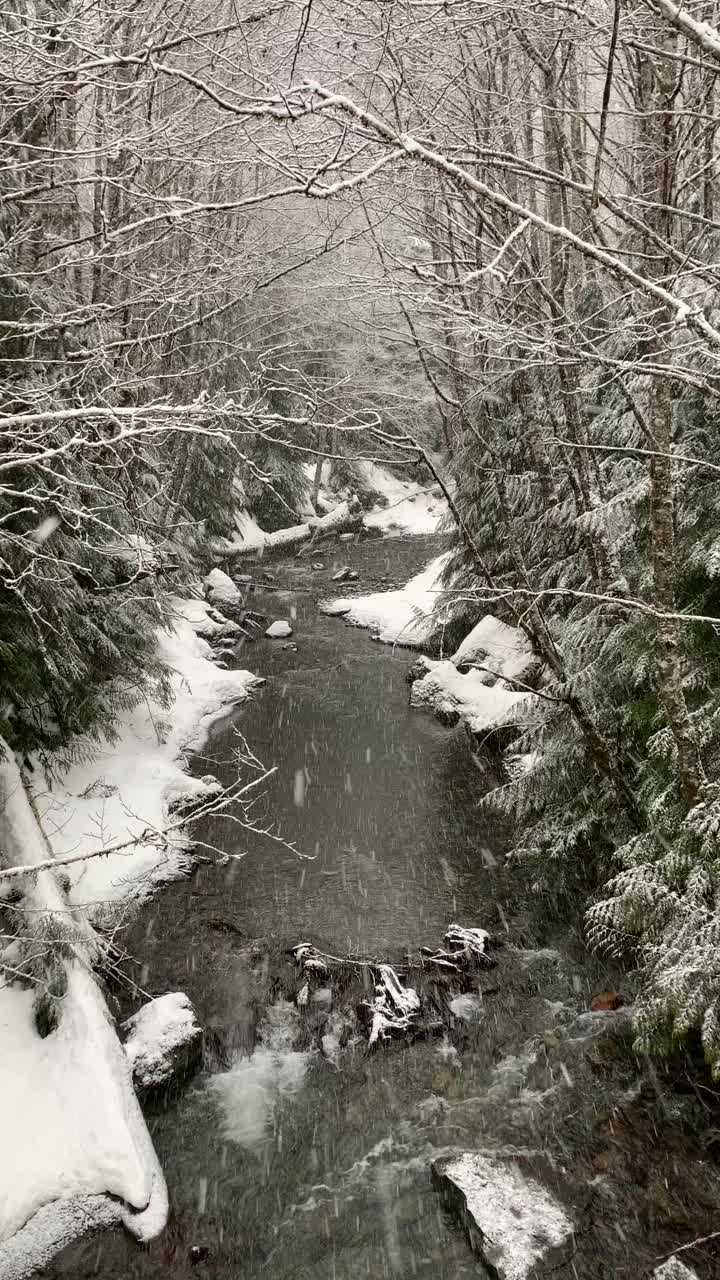 @PNW-Hikes