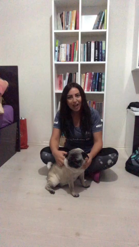 @Yüksel Eren