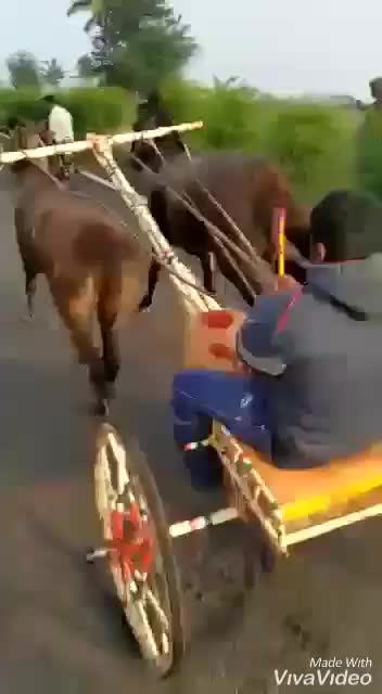 @@_ᴀᴊɪᴛ _ꜱᴜʀᴠᴇ9696_😍