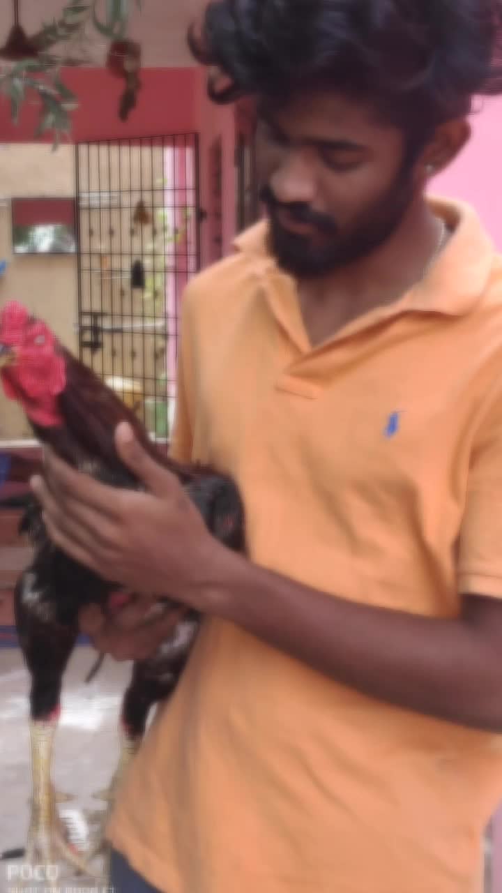 @karthik