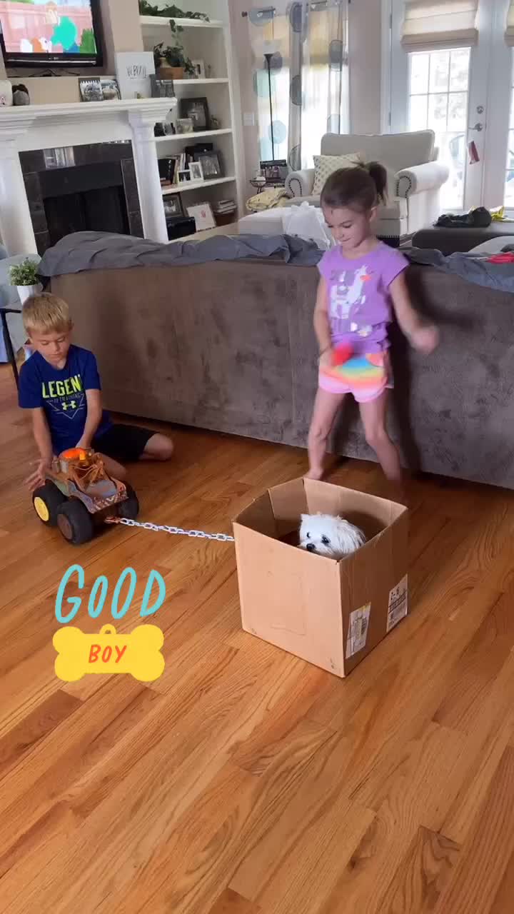 @ash.fit.mom