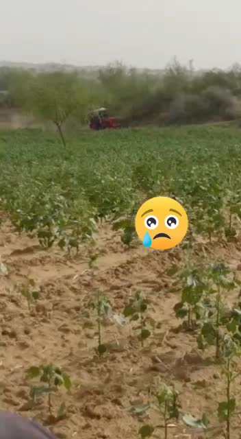 @Jaypal Aalriya