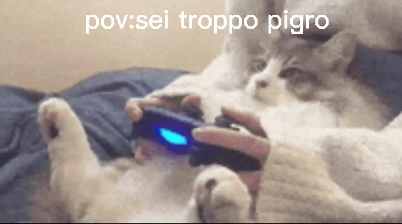 @anonimus
