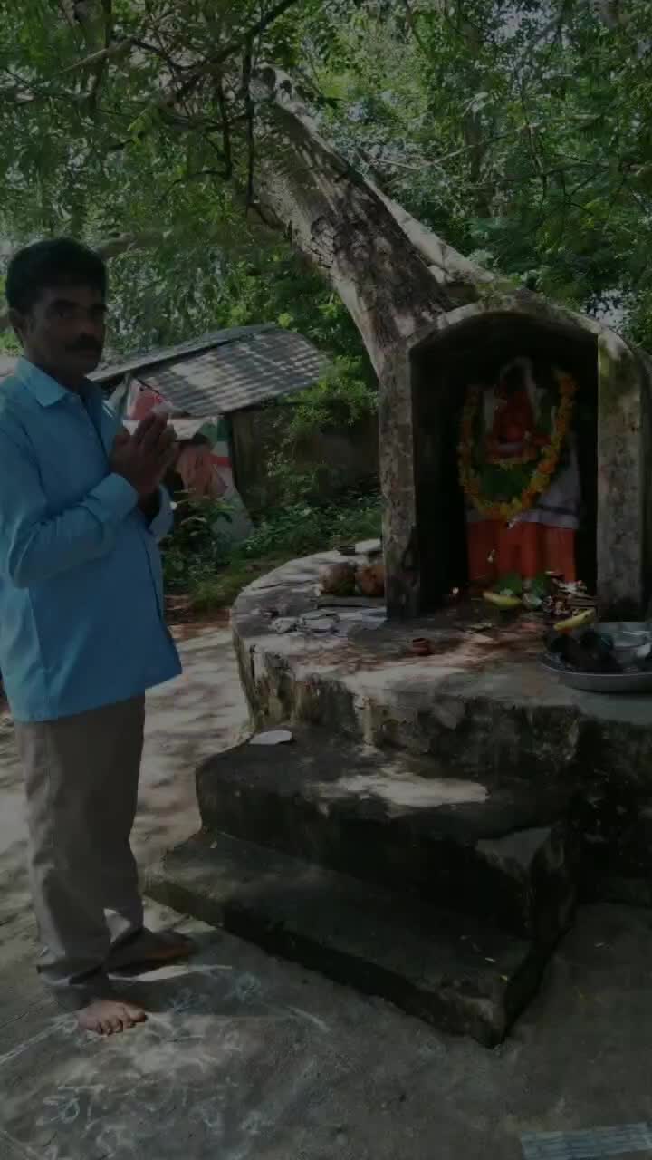 @bujji