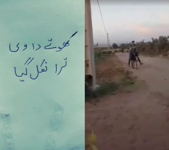 @میاں مجتبیٰ