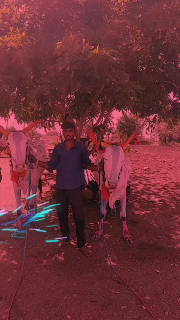 @ಡಾಲಿ ಪ್ರಕಾಶ್