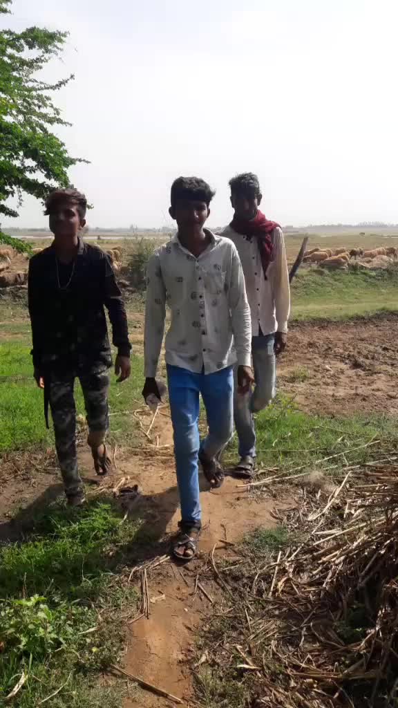 @Bharat Thakor Gaedsh
