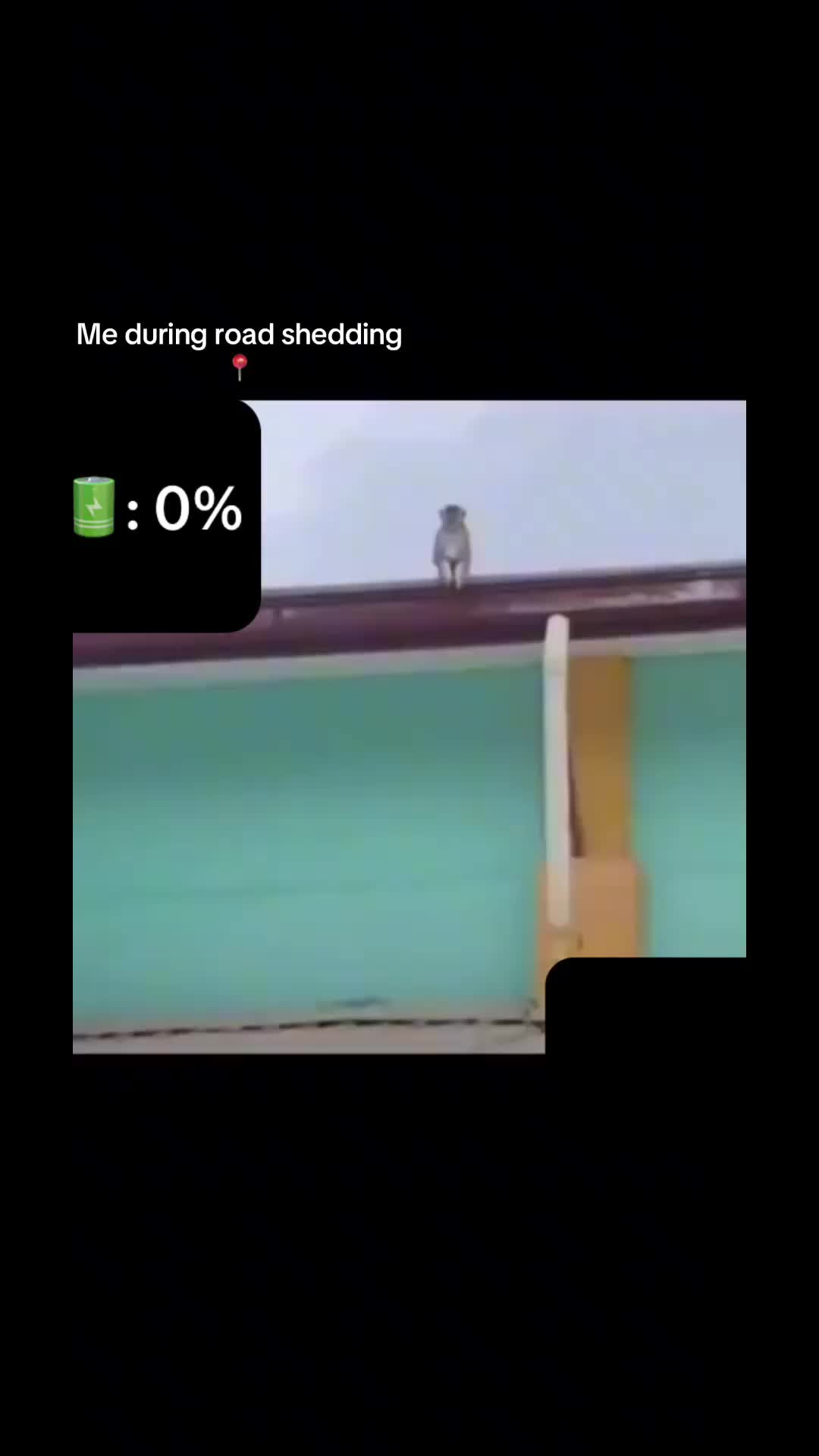 @D_major