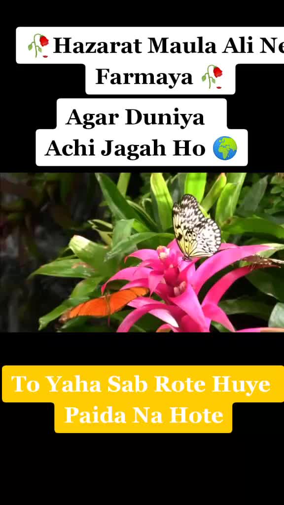 @Rukshar Khan