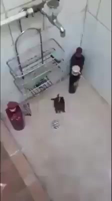 @Eleven