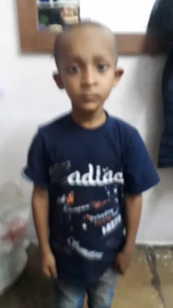 @animesh king model