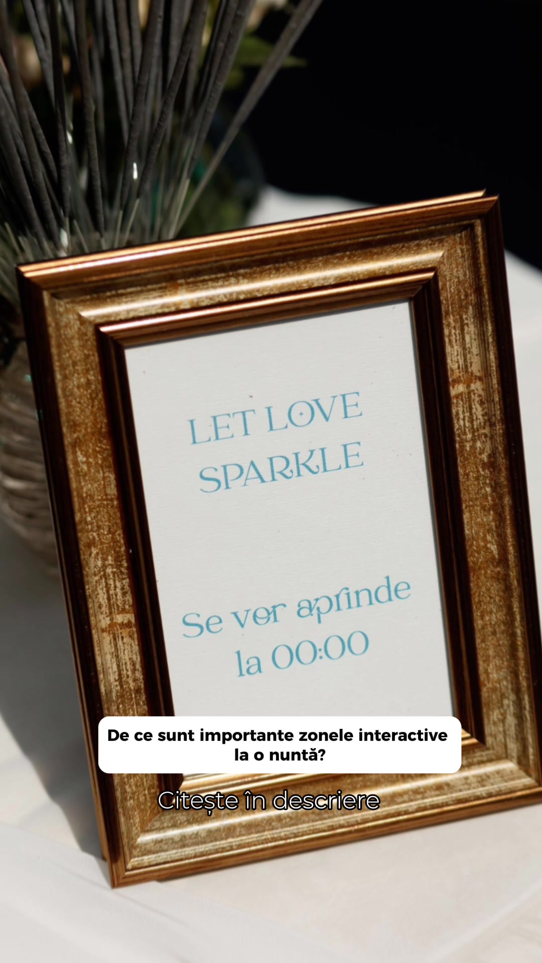 @bubbledecor.md