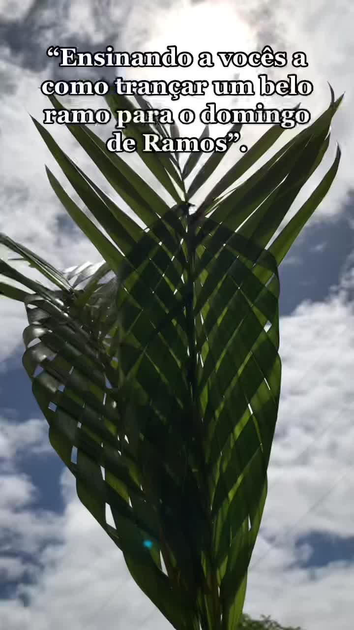 @eualinefernandess_