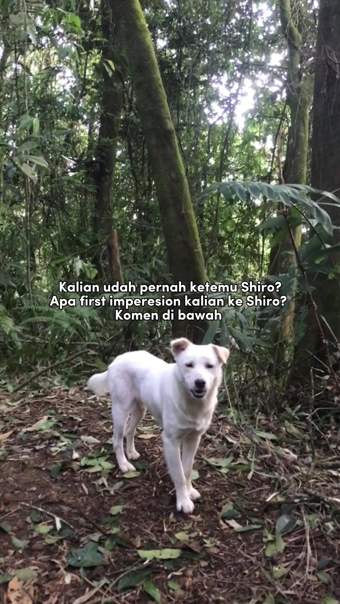 @IG:lylyadalahpetualang