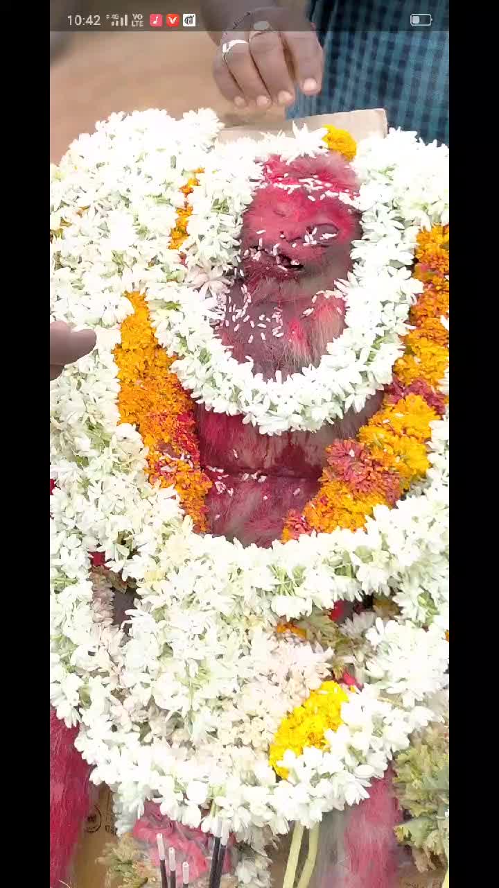 @Allu Anji