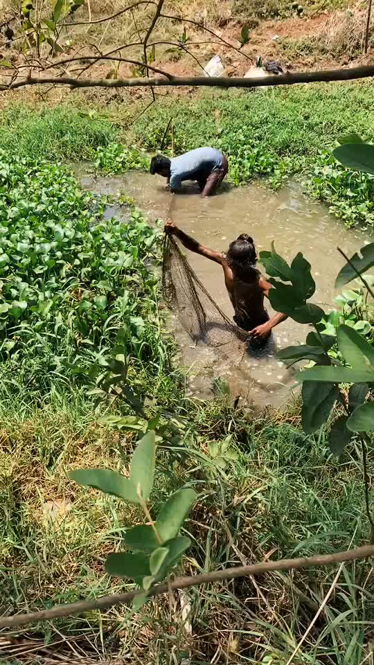 @Chakri Kamisetti