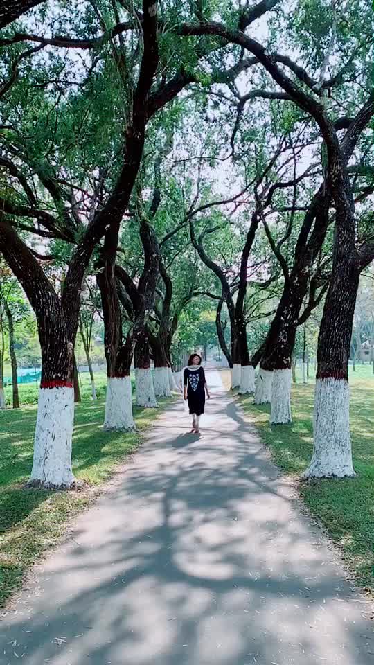 @sujana kabir