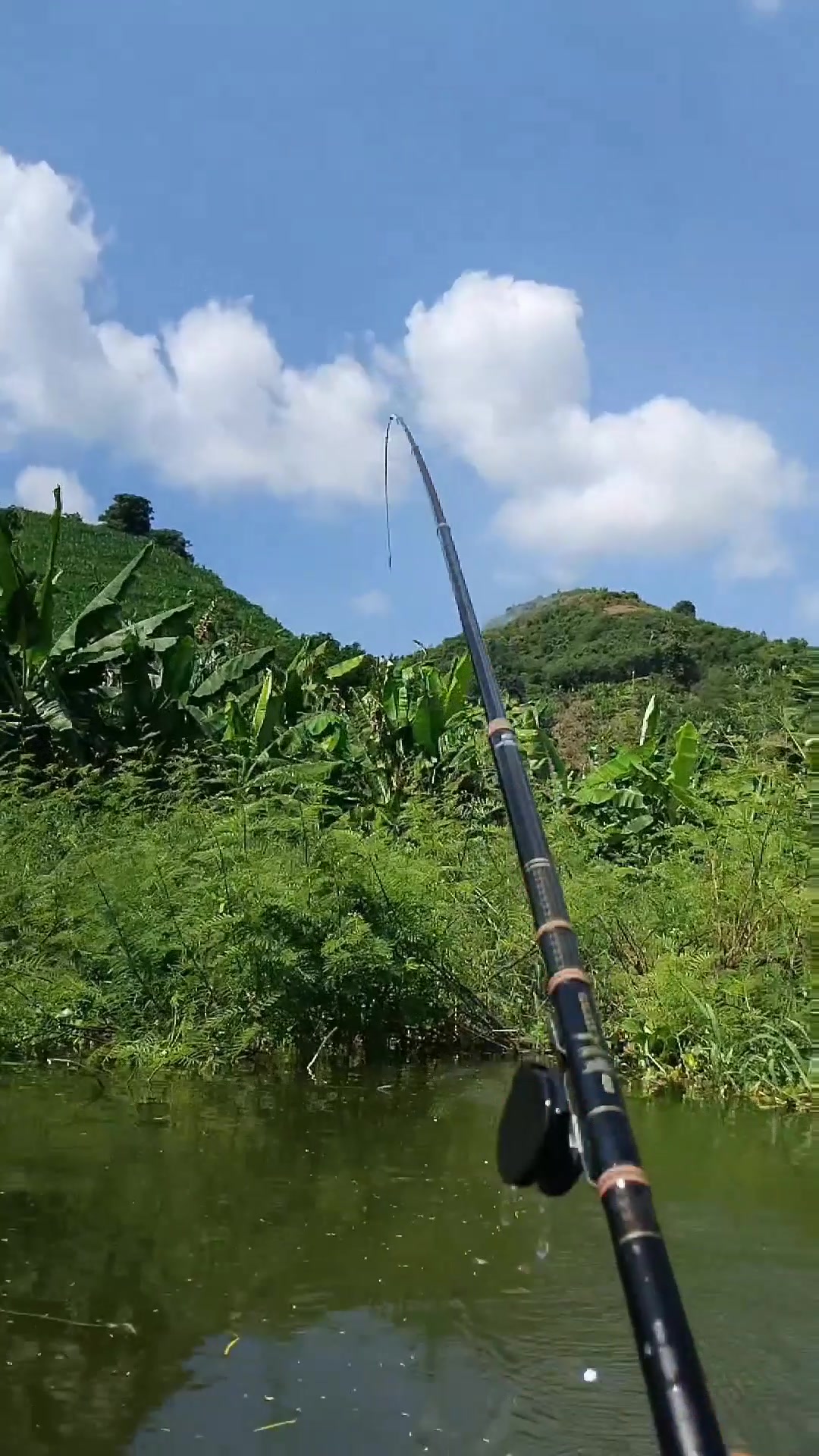 @MAFIA FISHING