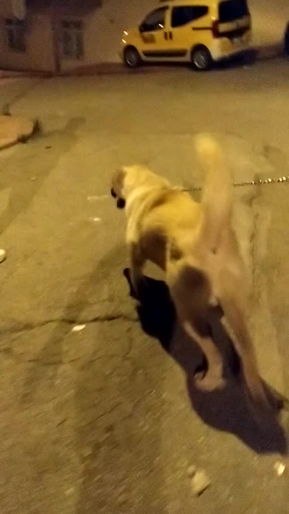 @Ilker Gen&ccedil;