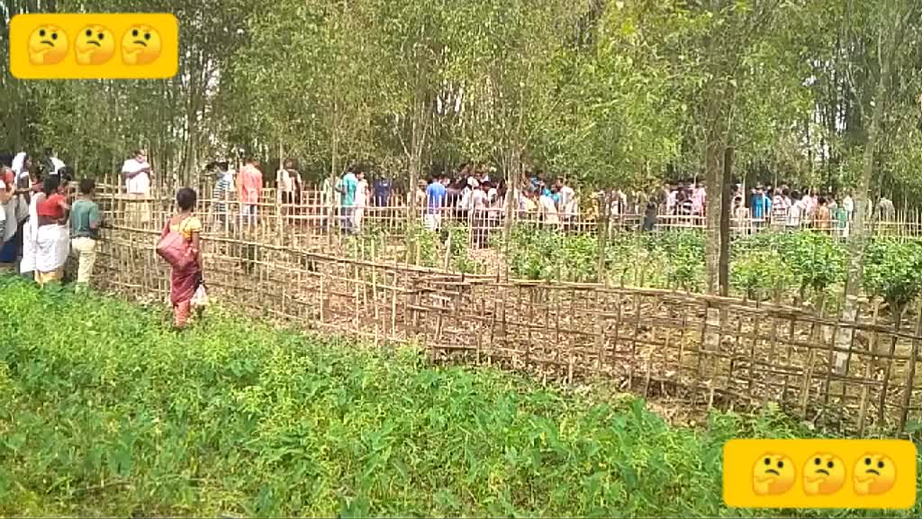 @Mn Raj