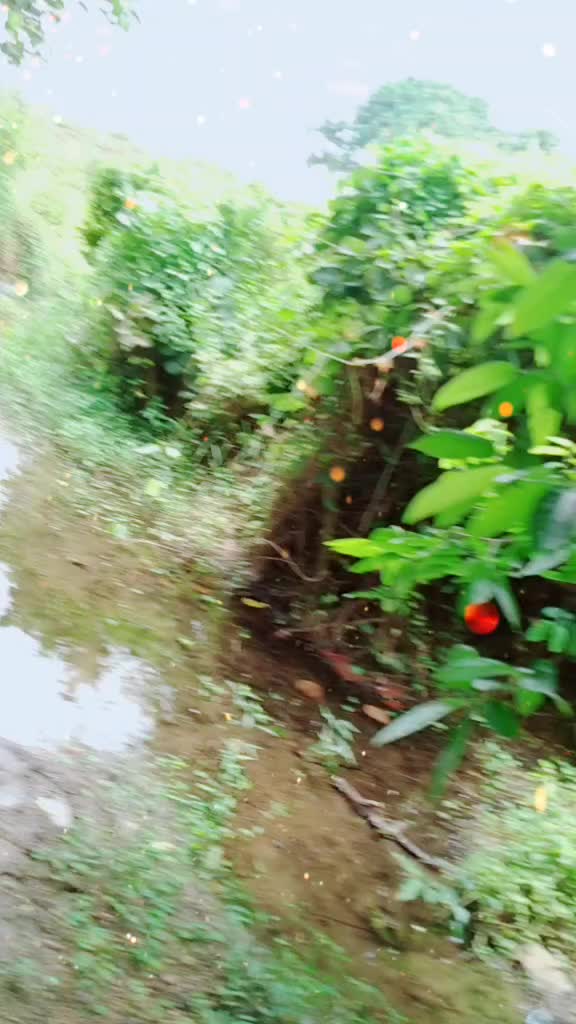 @kúmàr mñàsá