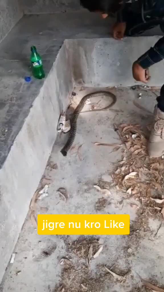 @VjKamboj54