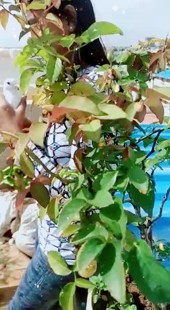 @PoojaShree1416