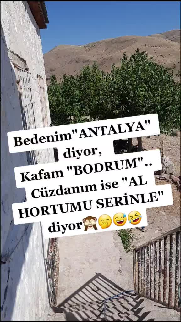 @๐ฑแ
โโ
โชแ
โ โชโ
โโ
โ๐ฑ