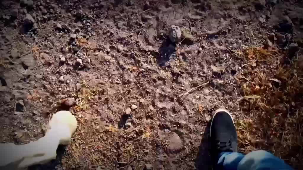 @bhavu_bha_gadhvi_