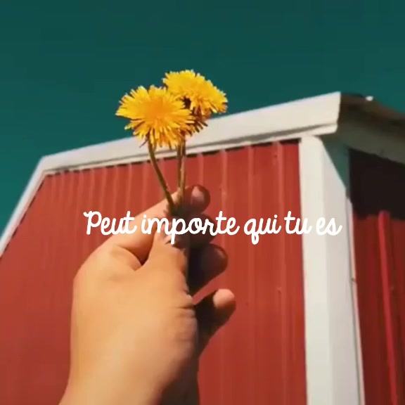 @𝐚𝐞𝐬𝐭𝐡𝐞𝐭𝐢𝐜