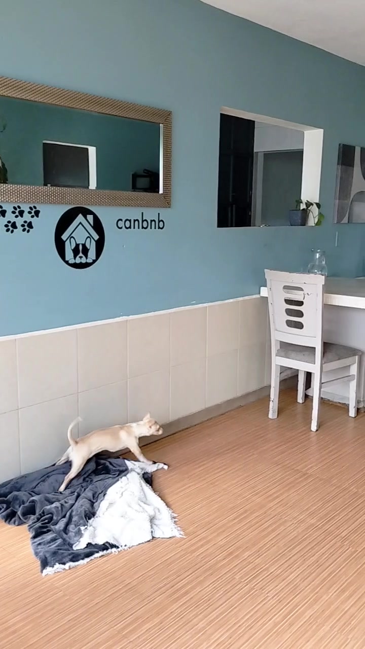 @Canbnb 🐶❤️