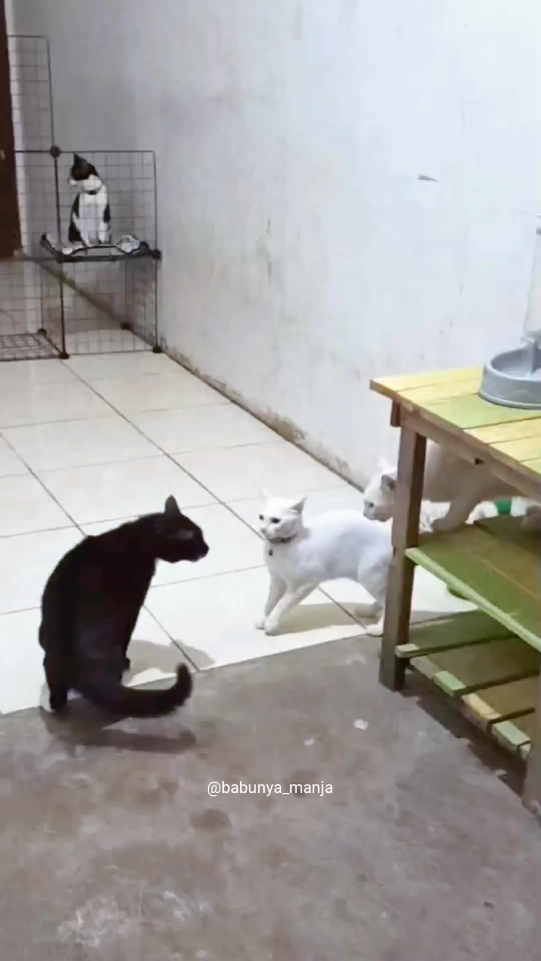 @Keluarga Manja R