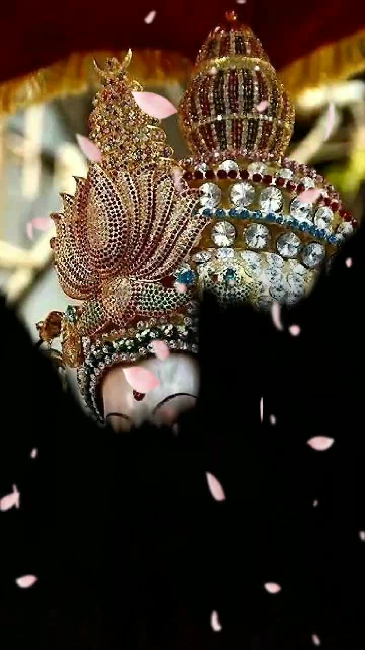 @vijay2130
