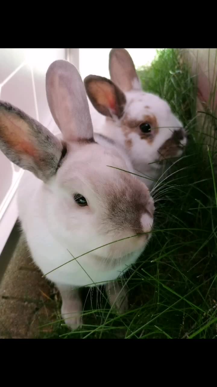 @✌︎
