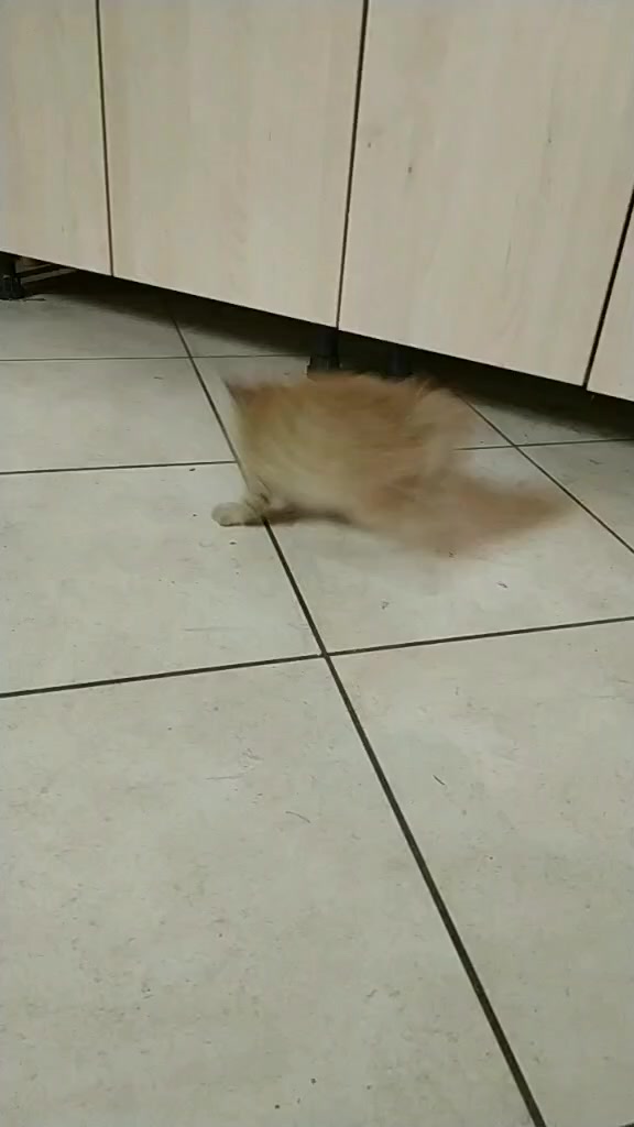 @...