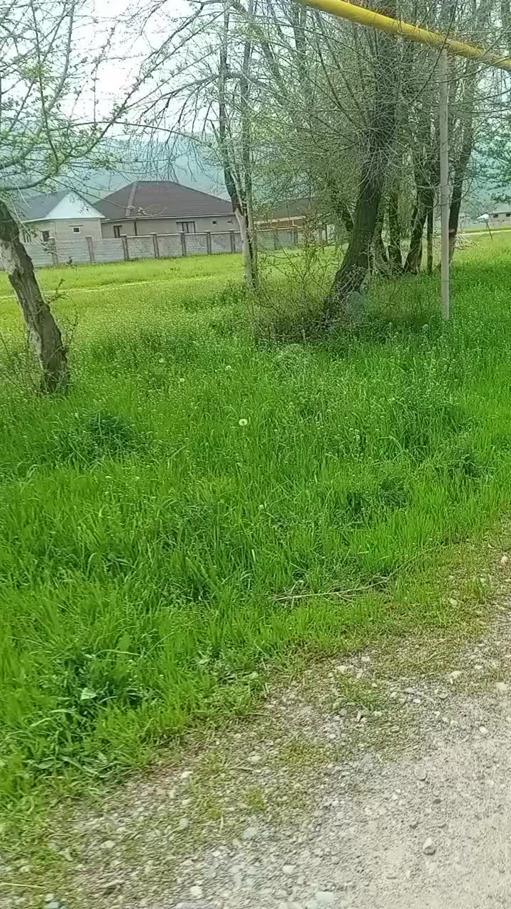 @Siri2009