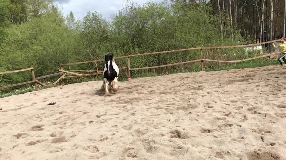 @Scwarzjo