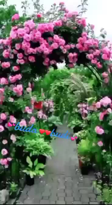 @kanxii thing