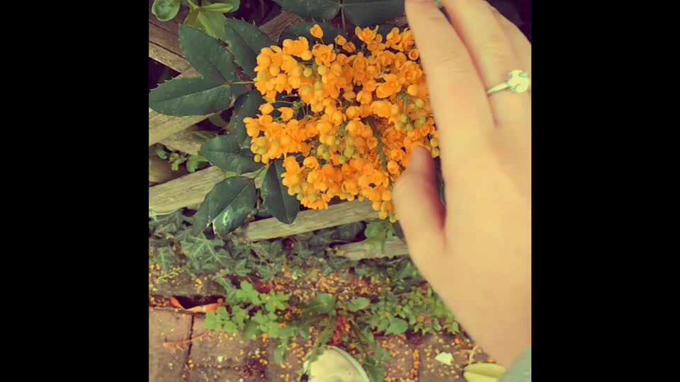 @𝓐𝓼𝓽𝓱𝓮𝓽𝓲𝓬