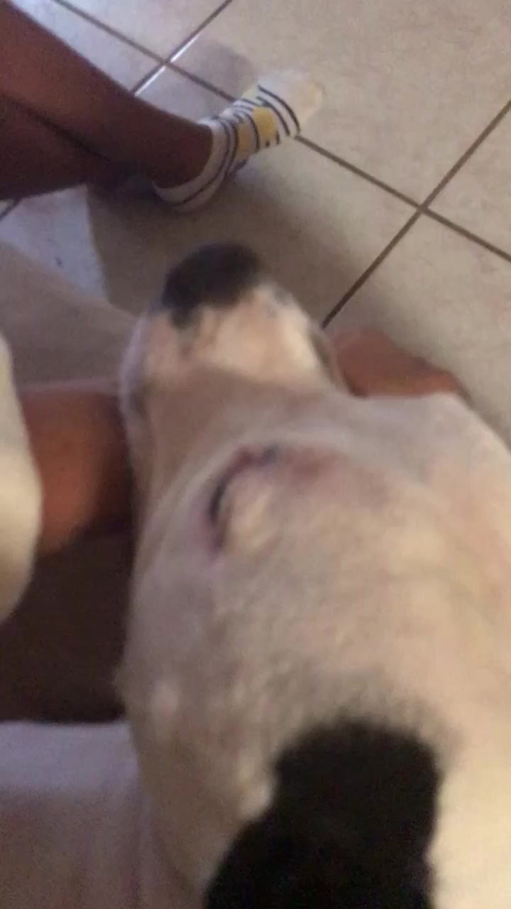 @snaggyhalf27