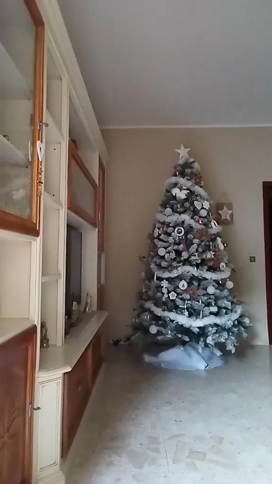 @giuliatamburi