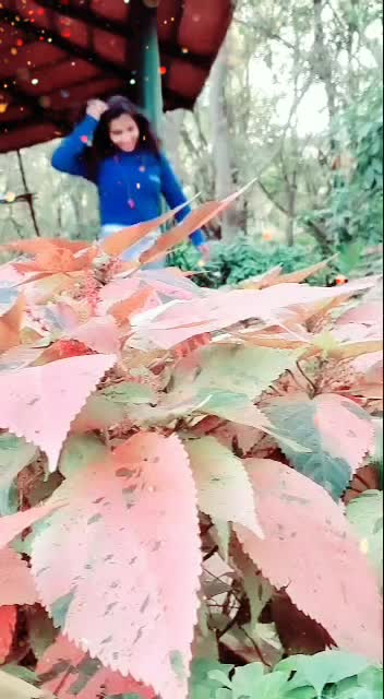 @Chithra D Gowda