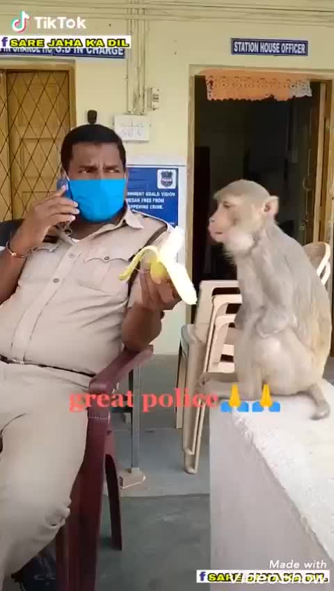 @jitu