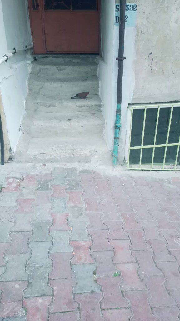 @user187277