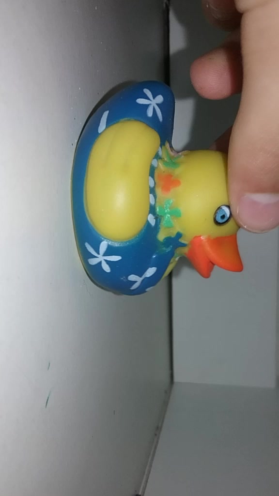 @duck