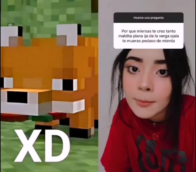 @Zorrito xd 🦊
