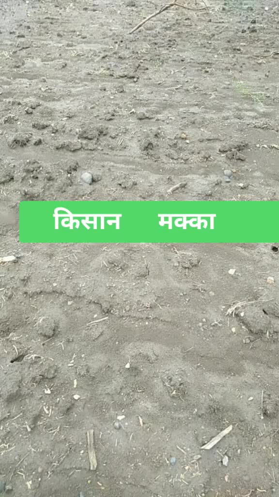 @jitendra singh