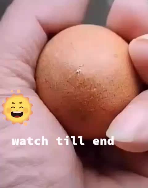 @ꜱʀᴠ〆ᴛɪɢᴇʀ